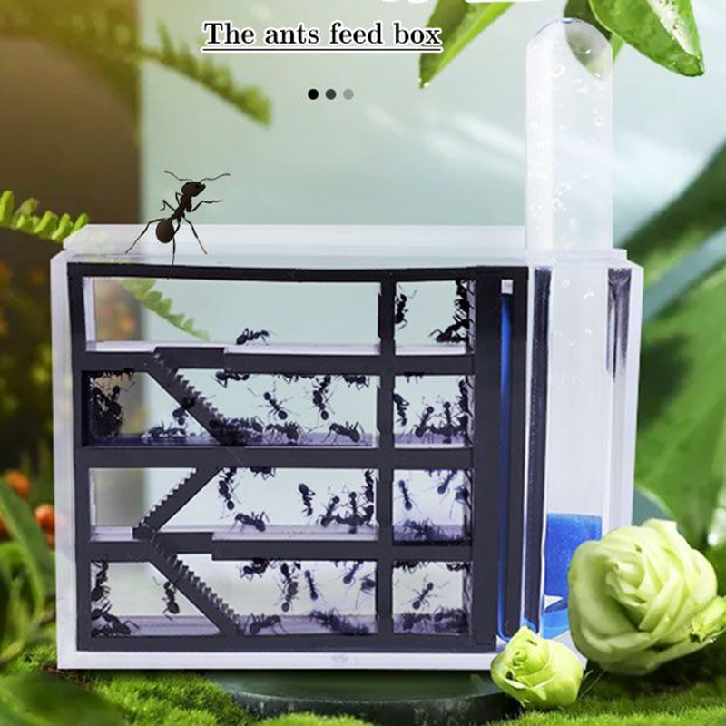 Kingdom Kids Education - Ants Kingdom Ants Nest Castle Ant