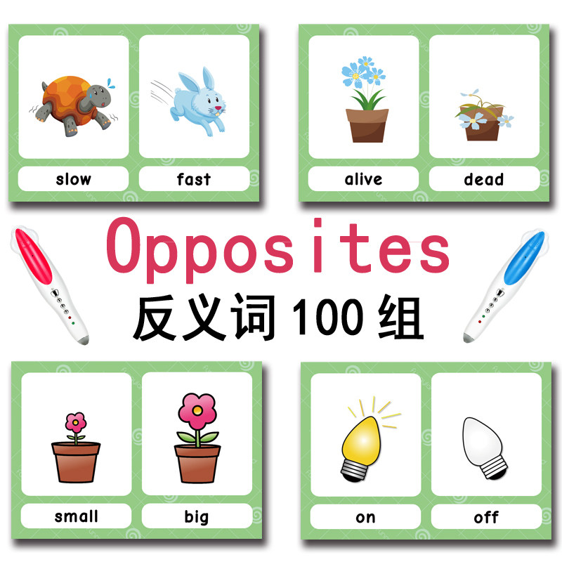 The 100 Groups Opposites Flash - Kids Educational Gadget review and price