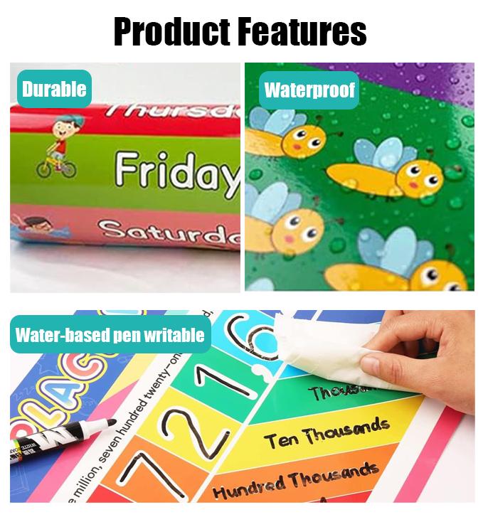 16 PCS Educational Posters for - Kids Educational Posters review and price