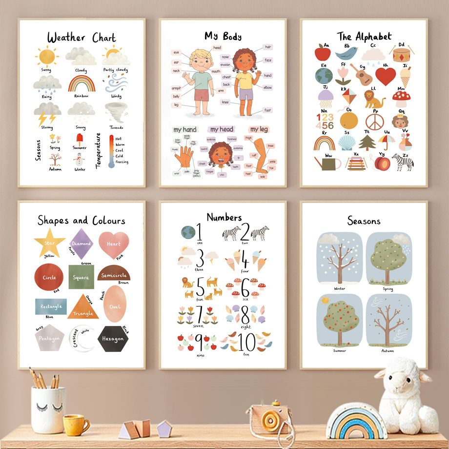 1PC  Seasons Shapes Colors Bod - Kids Educational Posters review and price