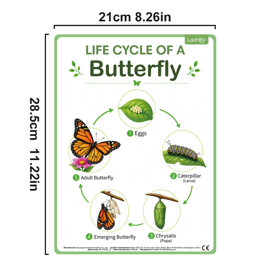 8Pcs Nature Life Cycle Educati - Kids Educational Posters review and price