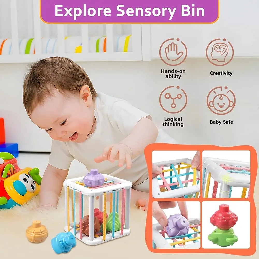 Rainbow Colorful Montessori Sh - Kids Educational Gadget review and price