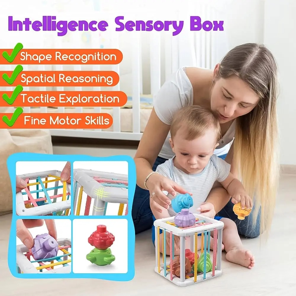 Rainbow Colorful Montessori Sh - Kids Educational Gadget review and price