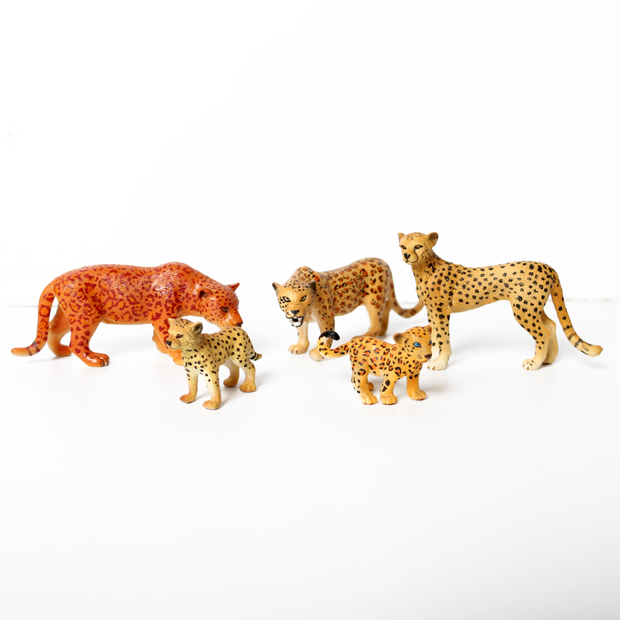 Genuine Wild Animal Kingdom Wh - Kingdom Kids Education review and price