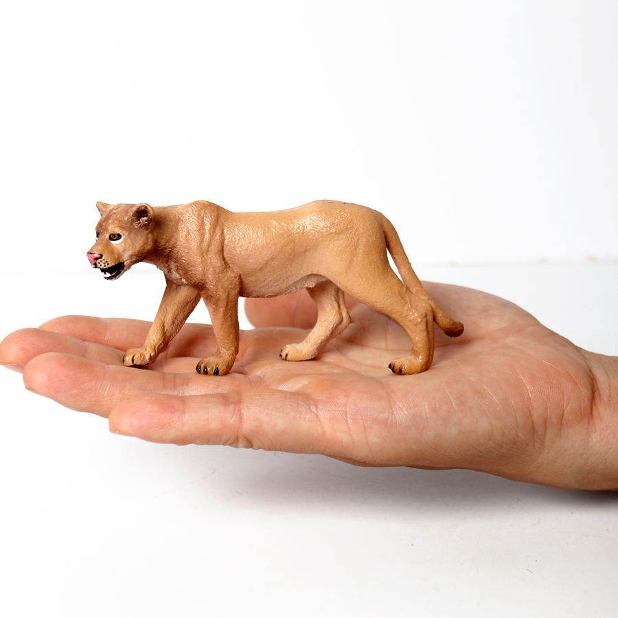Genuine Wild Animal Kingdom Wh - Kingdom Kids Education review and price