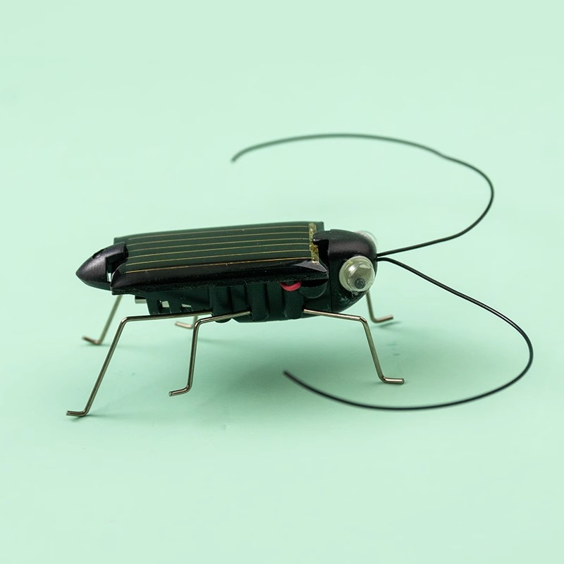 Solar Powered Locust Grasshopp - Kingdom Kids Education review and price